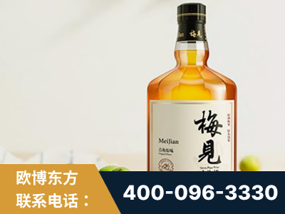 南雄-梅见青梅酒